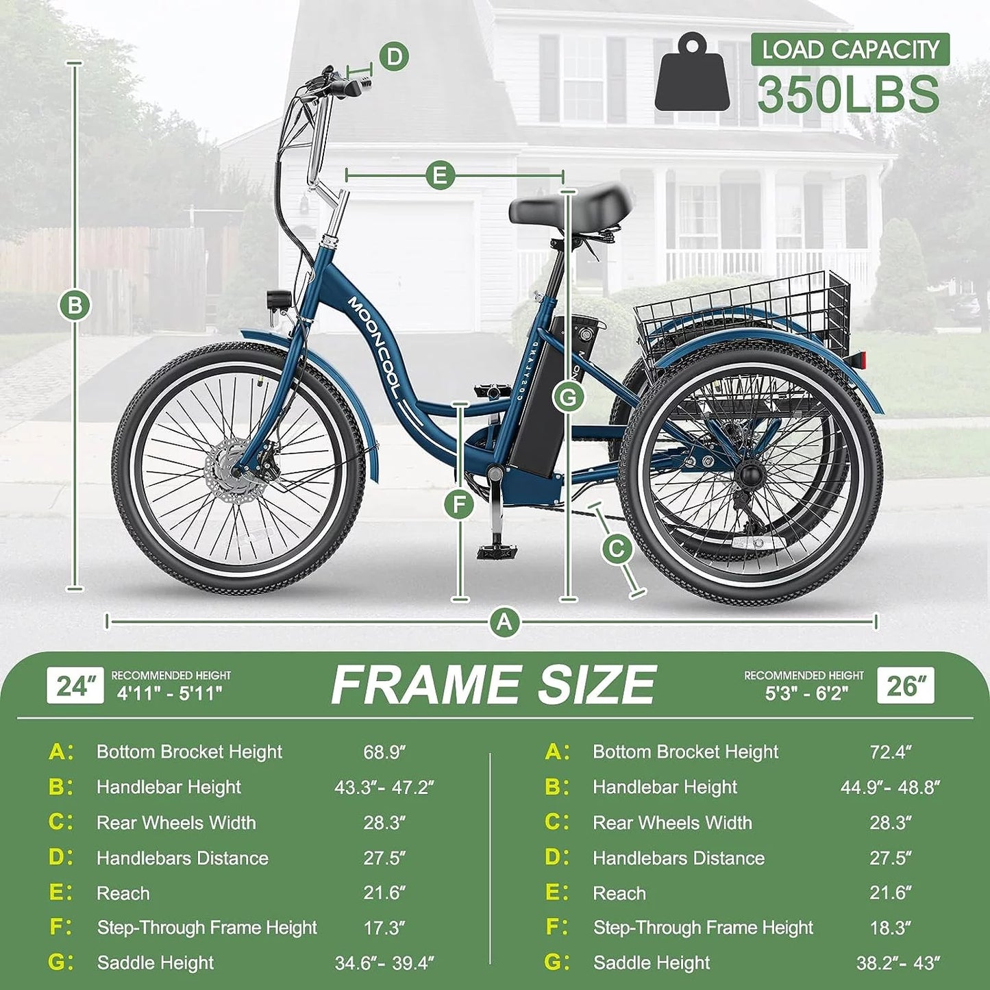 Electric Tricycle, 350W 36V 24 Inches 7 Speeds 3 Wheels Electric Bikes for Adults, Motorized Electric Trike Three Wheel Electric Bicycle