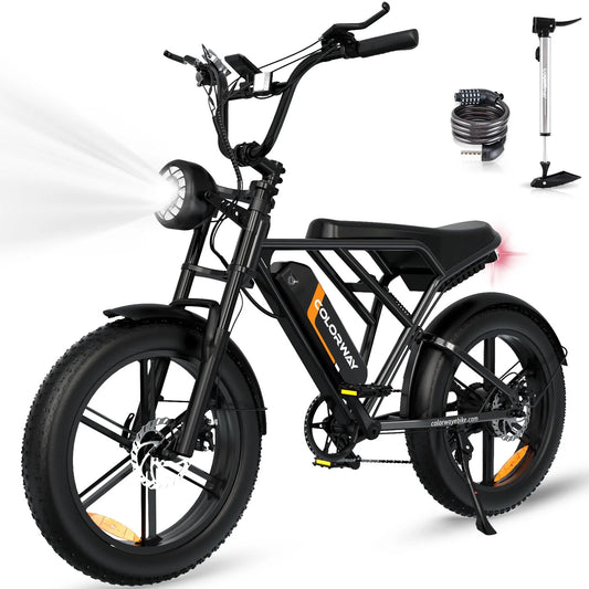 750W Electric Bike for Adults,20X4.0 Fat Tire Off-Road E Bike,48V/15Ah Battery Snow Beach Mountain Bike for Outdoor Cycling E Bike UL2849