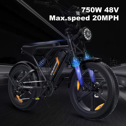 750W Electric Bike for Adults,20X4.0 Fat Tire Off-Road E Bike,48V/15Ah Battery Snow Beach Mountain Bike for Outdoor Cycling E Bike UL2849